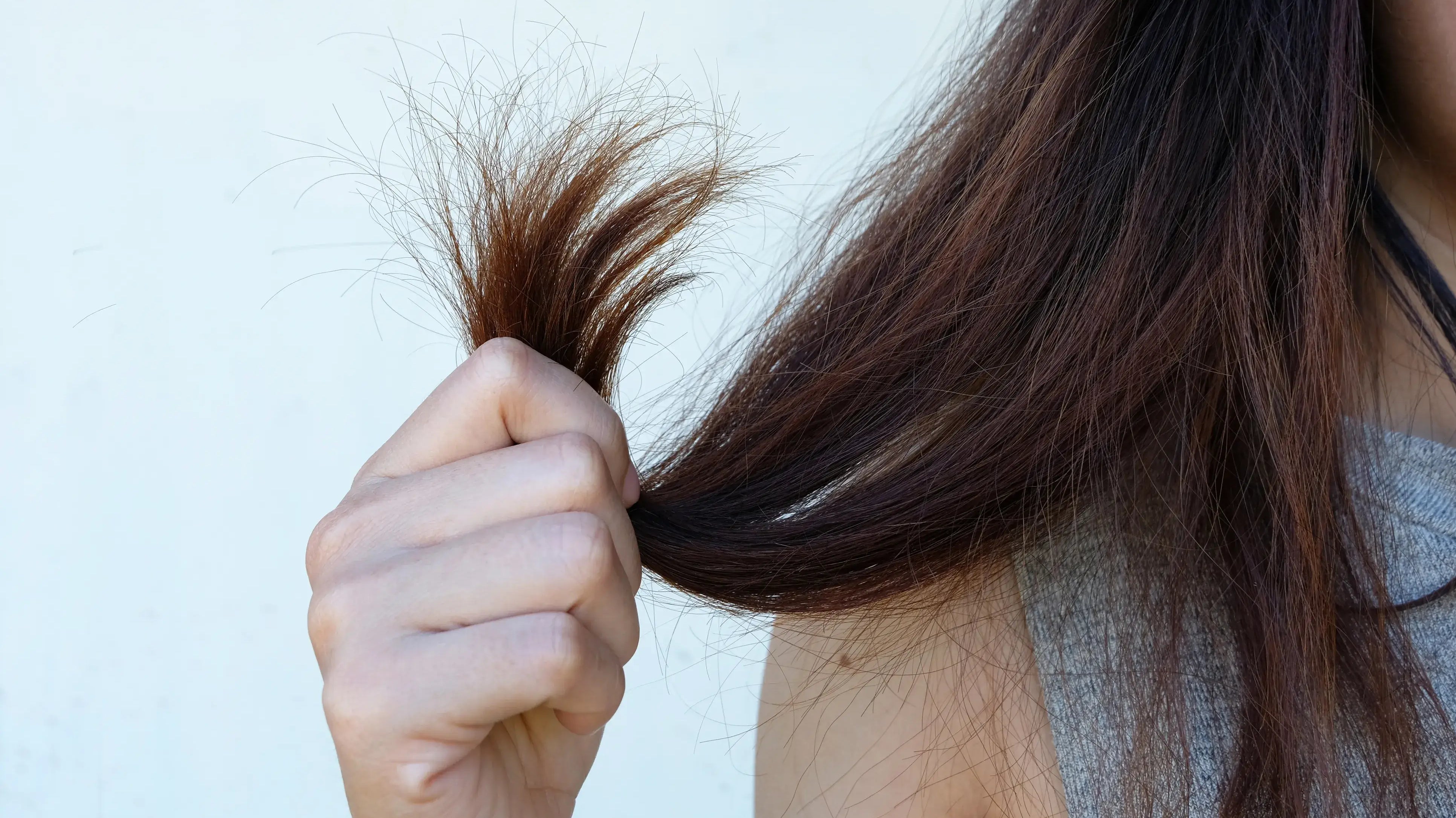 Hair Care For Dry Hair