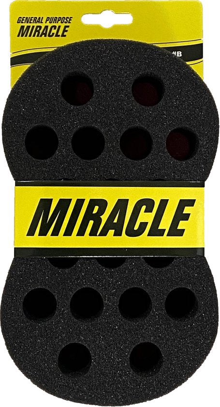 Miracle Brush Sponge Brush Double Side B