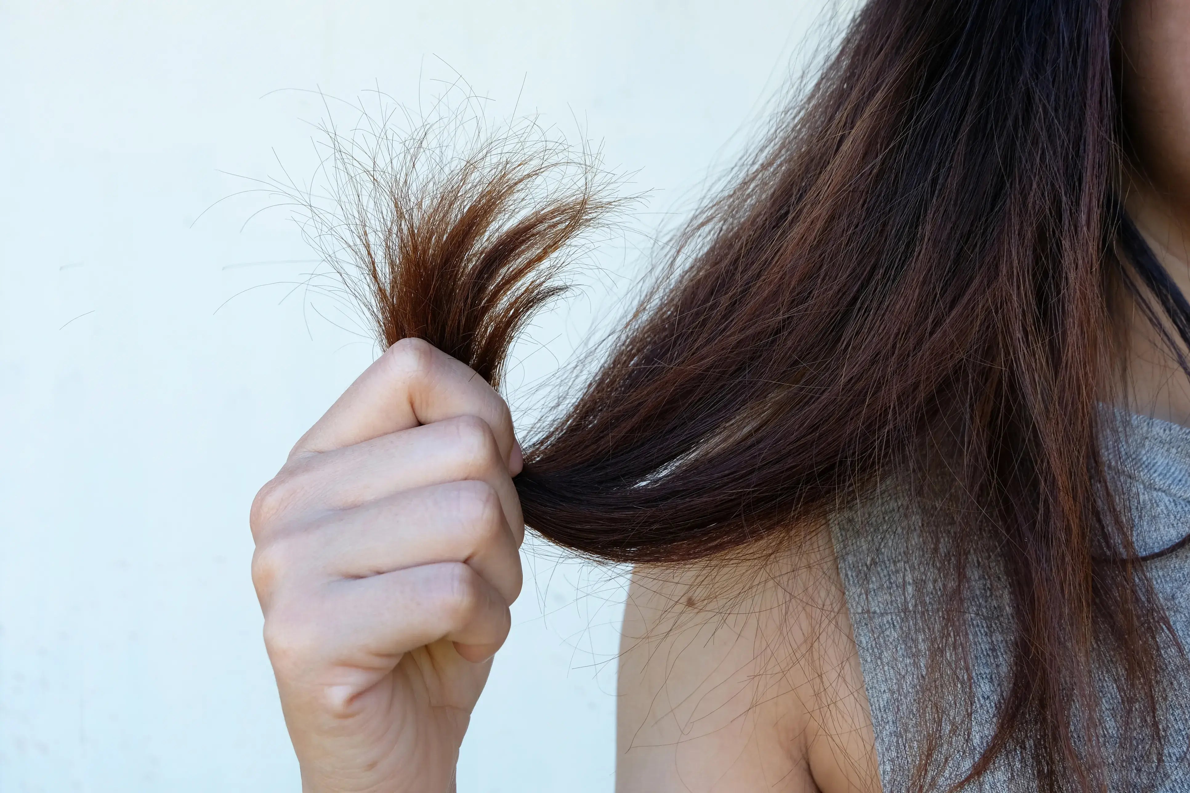Hair Care For Dry Hair