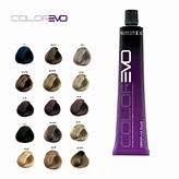 Selective Colorevo Permanent Hair Colour - 100ml